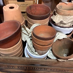 素焼きの植木鉢お好きなだけどうぞ✨の画像