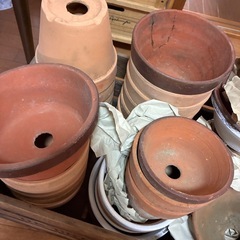素焼きの植木鉢お好きなだけどうぞ✨の画像