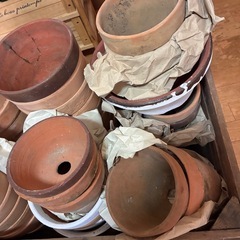 素焼きの植木鉢お好きなだけどうぞ✨の画像