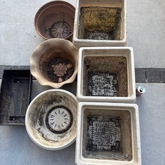 大きいプランター 7個セットの画像