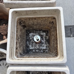 大きいプランター 7個セットの画像