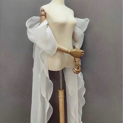 シフォンアームカバーの画像