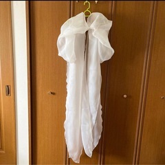 シフォンアームカバーの画像