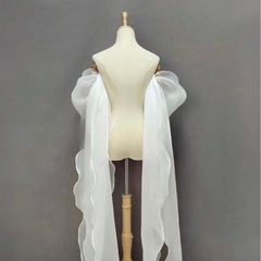 シフォンアームカバーの画像