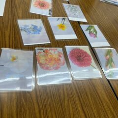 お花占い（無料）