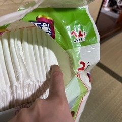 ペットシーツ、マナーウェアの画像