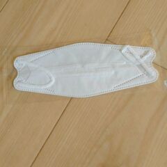 マスク10枚 【ISDGマスク4枚と他6枚】の画像