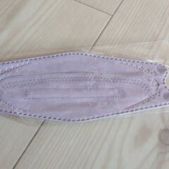 マスク10枚 【ISDGマスク4枚と他6枚】の画像