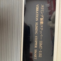 自宅で筋トレ スリミング振動ステッパー SSMT-1152 の画像