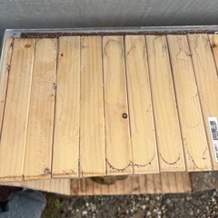 オオヤドカリ用に作った水槽の画像