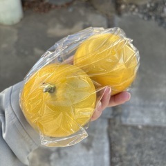   【グレープフルーツ約2個】本庄産　果物　無農薬　販売　まとめ売り　セットの画像