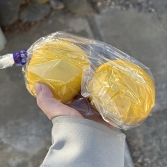   【グレープフルーツ約2個】本庄産　果物　無農薬　販売　まとめ売り　セットの画像