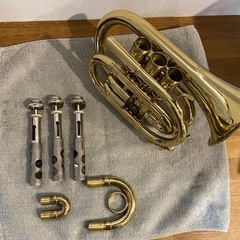 Jマイケル　ポケットトランペット　ゴールドの画像