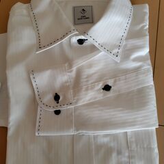 紳士カッターシャツの画像