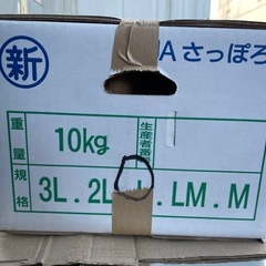 石狩産「きたあかり」Lサイズ10キロの画像