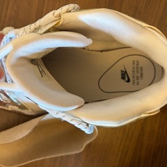 NIKE Air more uptempo Chromeの画像