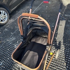 (決まりました)ペットカートの画像