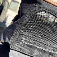 (決まりました)ペットカートの画像