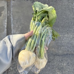  【小かぶ約2本】本庄産　野菜　無農薬　販売　まとめ売り　セットの画像