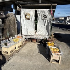  【小かぶ約2本】本庄産　野菜　無農薬　販売　まとめ売り　セットの画像