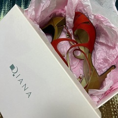 DIANA ヒールの画像