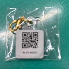 ちいかわ　マジカルちいかわ アクリルチャーム　新品 うさぎ の画像