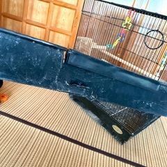 鳥籠　マルカン　バードパレス　 トリカゴ　の画像