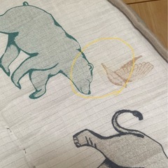 【エイデンアンドアネイ】aden + anaisアクティビティジムの画像