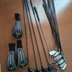 ゴルフバッグ キャディバッグ ドライバー ブラック アイアン Silver CAT LYNX ゴルフクラブ 12本セットの画像