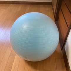 バランスボールの画像