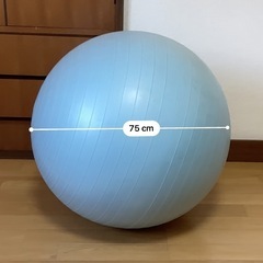 バランスボールの画像