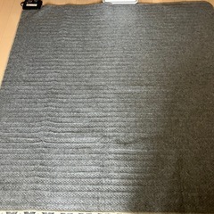 ホットカーペットの画像