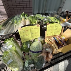 朝取り産直野菜「やおくる」シャンテ川西販売日