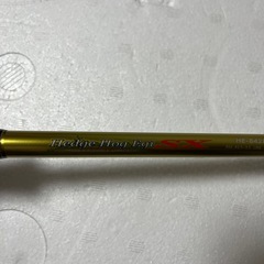 アオリイカ釣りにの画像