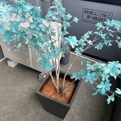 観葉植物　フェイクグリーンの画像