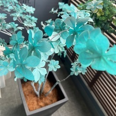 観葉植物　フェイクグリーンの画像