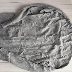 アメリカンイーグルの画像