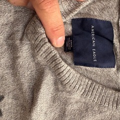 アメリカンイーグルの画像