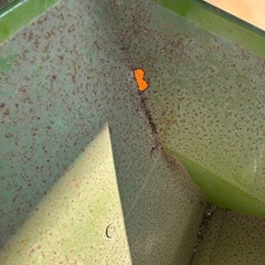 笹川農機 スーパー唐箕 B-2 とうみ 唐箕 トーミ　の画像