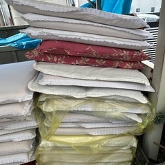 座布団約50枚の画像