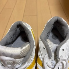 高校　体育館シューズの画像