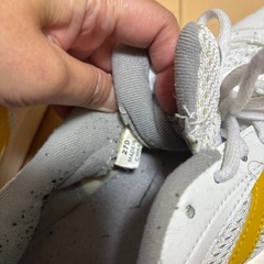 高校　体育館シューズの画像