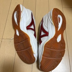 体育館シューズの画像