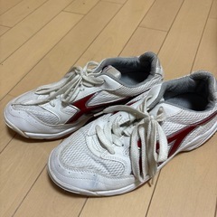 体育館シューズの画像