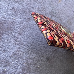 美品　ATAO 長財布の画像