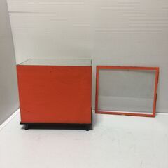 ○ガラスケース 貝殻  置き物 アート オブジェ 置物 インテリア 飾り 中古品 (NF251209)563-2-②の画像