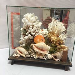 ○ガラスケース 貝殻  置き物 アート オブジェ 置物 インテリア 飾り 中古品 (NF251209)563-2-②の画像