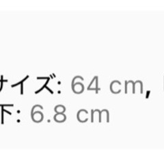 新品未使用レオパード柄 ショーパン 
の画像