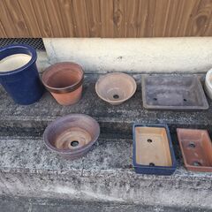 植木鉢(陶器)の画像