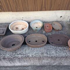 植木鉢(陶器)の画像